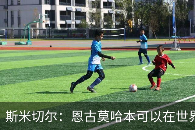 斯米切尔：恩古莫哈本可以在世界杯改变局势，但他能参加下一届